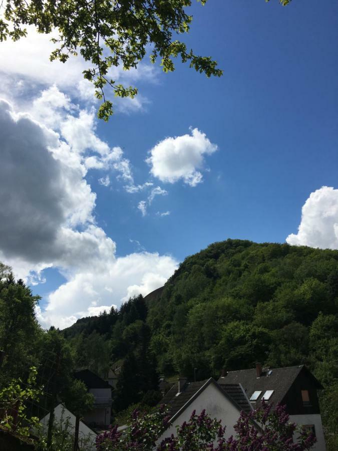 Haus Anne Appartement Cochem Buitenkant foto