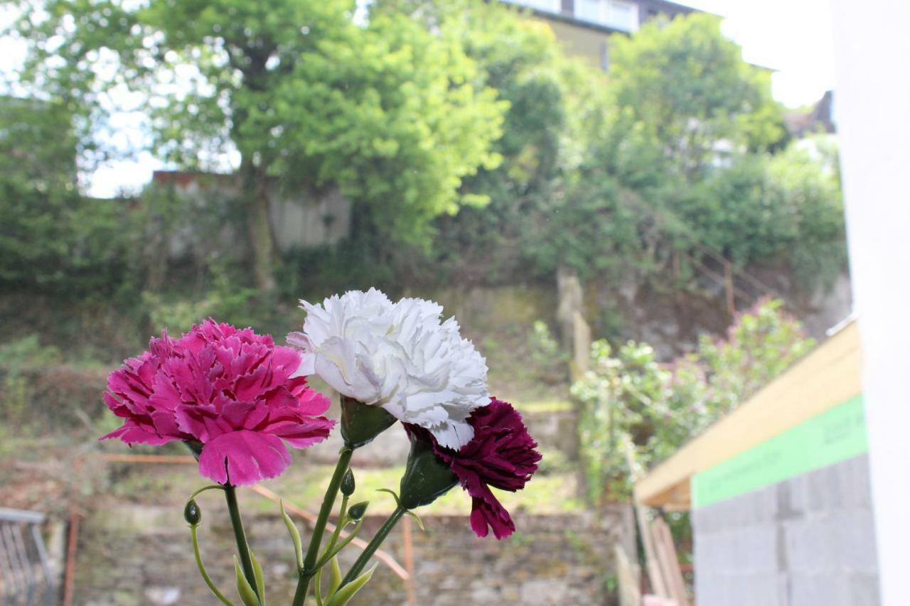 Haus Anne Appartement Cochem Buitenkant foto